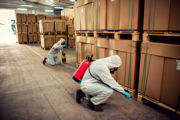 Best Bed Bug Extermination  in Isle Of Hope, GA