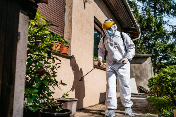 Best Affordable Pest Control Services  in Isle Of Hope, GA