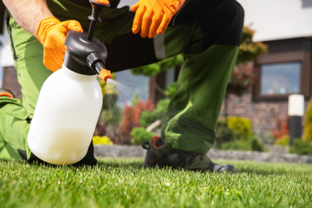 Best Exterminator Services  in Isle Of Hope, GA