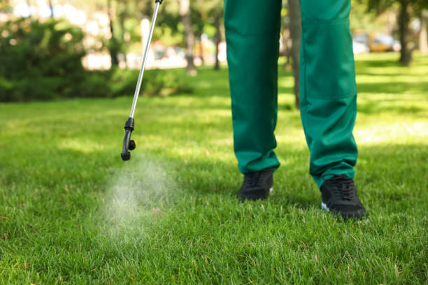Best Pest Inspection Near Me  in Isle Of Hope, GA