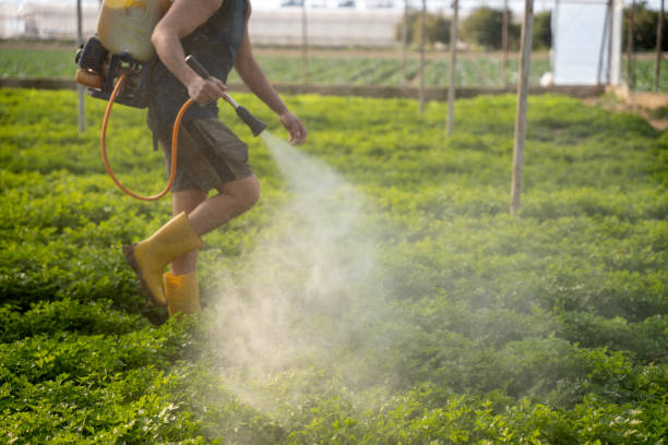 Best Residential Pest Control  in Isle Of Hope, GA